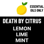 9 Piece 'Not So Mini' Beard Oil Samples
