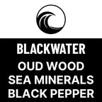 9 Piece 'Not So Mini' Beard Oil Samples