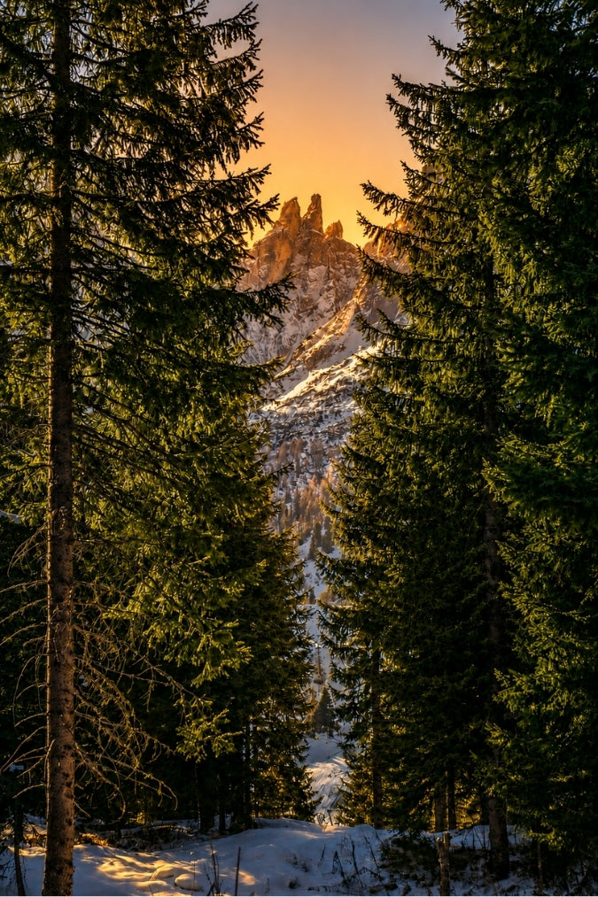 Pinewood Peak
